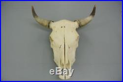 Scottish cow bull skull head horns taxidermy education gothic home decor science