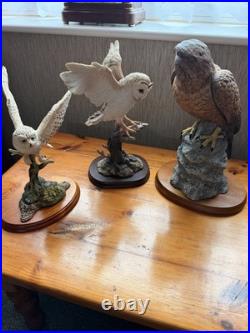 Set of 3 Bird of Prey Figurines Border Fine Arts Snowy OwlLeonardo Owls Hawk