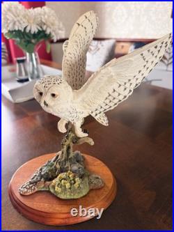 Set of 3 Bird of Prey Figurines Border Fine Arts Snowy OwlLeonardo Owls Hawk