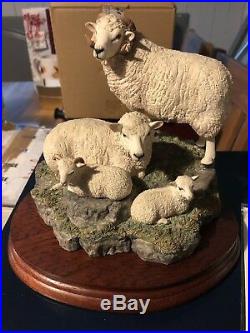 Shetland Sheep Family Border Fine Arts