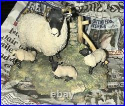 Signed Sheep And Lambs Border Fine Arts, AG AYERS
