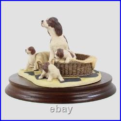 Springer Spaniel And Pups Liver and White Border Fine Arts