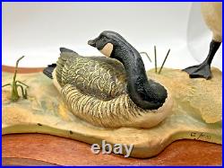 Stunning Border Fine Arts Canada Geese Ltd Edition in Excellent Condition 1991