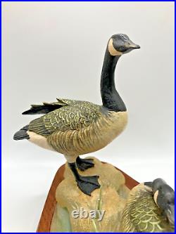 Stunning Border Fine Arts Canada Geese Ltd Edition in Excellent Condition 1991