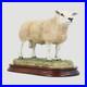 Texel-Ram-Style-Two-Border-Fine-Arts-01-ge