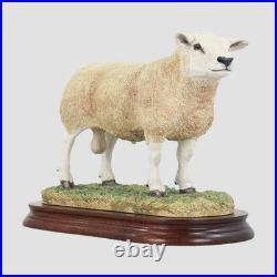 Texel Ram Style Two Border Fine Arts
