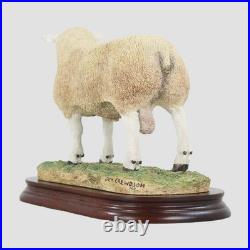 Texel Ram Style Two Border Fine Arts