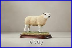 Texel Ram Style Two Border Fine Arts