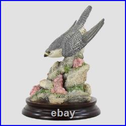 The Stoop Border Fine Arts Peregrine Falcon