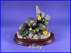 Unused Border Fine arts'Hedgerow Adventure