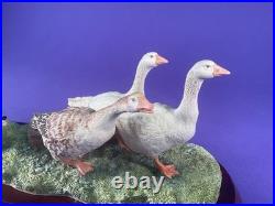 Unused Border fine arts'A Wild Goose Chase