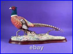 Unused Border fine arts'Autumn Glory