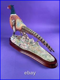 Unused Border fine arts'Autumn Glory