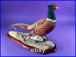 Unused Border fine arts'Autumn Glory