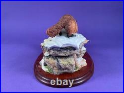 Unused Border fine arts'Cool Reception Unused Border fine arts'Cool Reception