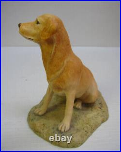 Vintage Border Fine Arts Golden Retriever Standing Dog BFA Scotland 1983 AYRES