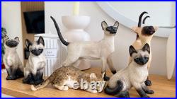 Vintage Cat Figurine Collection Border Fine Arts, Leonardo Siamese & Tabby