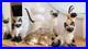 Vintage-Cat-Figurine-Collection-Border-Fine-Arts-Leonardo-Siamese-Tabby-01-yz
