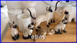 Vintage Cat Figurine Collection Border Fine Arts, Leonardo Siamese & Tabby