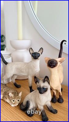 Vintage Cat Figurine Collection Border Fine Arts, Leonardo Siamese & Tabby