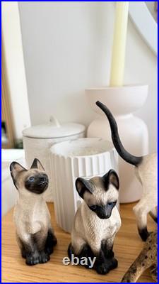 Vintage Cat Figurine Collection Border Fine Arts, Leonardo Siamese & Tabby
