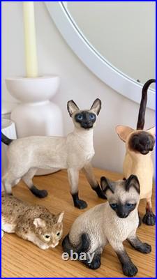 Vintage Cat Figurine Collection Border Fine Arts, Leonardo Siamese & Tabby