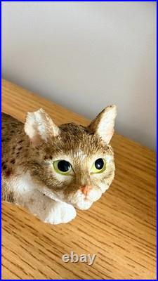 Vintage Cat Figurine Collection Border Fine Arts, Leonardo Siamese & Tabby
