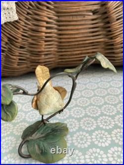 WREN ON IVY Border Fine Arts Scotland FINESSE BIRDS RARE SH