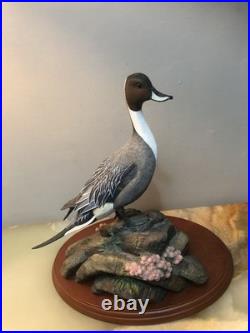 Waterfowl Of The World By Don Briddell