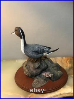 Waterfowl Of The World By Don Briddell