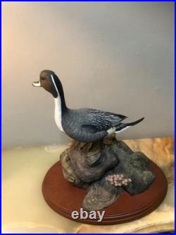 Waterfowl Of The World By Don Briddell