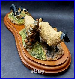 Well Detailed Border Fine Arts Suffork Ewes And Collies Figurine Ayres