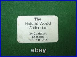 Wildtrack Rare Ltd edition Cheetah & Cubs Sculpture 1990's like Border Fine Arts