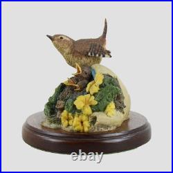 Wren and Chicks Border Fine Arts